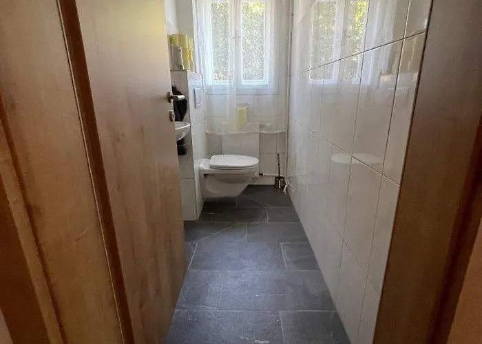 Apartament Steiner's *