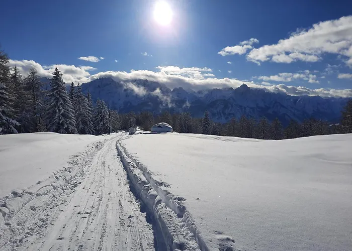 Apartament Steiner's Winklern (Spittal an der Drau)