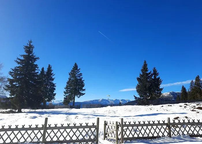 Apartament Steiner's